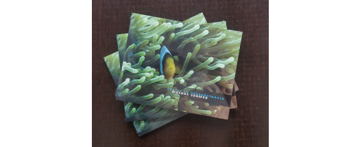 Светът на спокойствието от Михаил Заимов + Подарък снимка #0