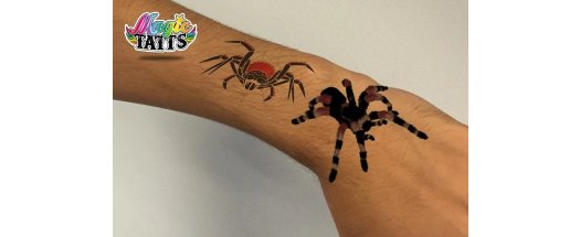 Комплект от 4 3D Живи  Книжки + Подарък  снимка #7